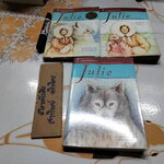 จูลี่ Julie ( วรรณกรรมไตรภาค 3 เล่มจบ) วรรณกรรมเยาวชนรางวัลเหรียญทอง Newbery Medal Book