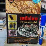 หนังสือ เหล็กไหล ตำนานแห่งธาตุกายสิทธิ์ โดย บูรพา ผดุงไทย พิมพ์ครั้งที่ 2 ทรัพย์ 2547