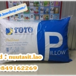 หมอนหนุน TOTO