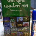 พจนานุกรม สมุนไพรไทย (ฉบับสรรพคุณยาไทย) โดย ดร.วิทย์ เที่ยงบูรณธรรม ฉบับพิมพ์ครั้งแรกพ.ศ 2532 สำนักพิมพ์รวมสาส์น