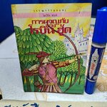 การผจญภัยของ โรบิน ฮู้ด (Robin Hood) โฮเวิร์ด พายล์ เขียน / หน่าจ้อย แปล #ชุดวรรณกรรมอมตะสำหรับเด็ก สำนักพิมพ์เม็ดทราย