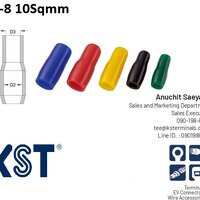ปลอกหุ้มหางปลา 10sqmm red 100pcs/bag
