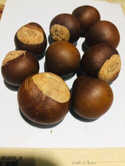 ลูกขัน (15 ลูก/ถุง)