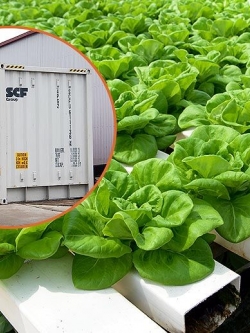 SmartFarm in Container Box