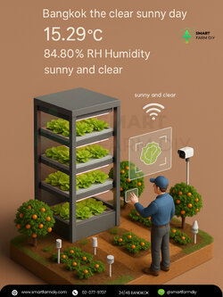 รับออกแบบฟาร์มพืช แนว Miniature Green Lettuce Farm/ Tech Farm/ Urban Farm / friendly environment