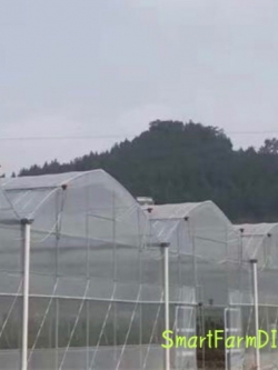 Greenhouse แบบทรงมาตรฐานทรงหลังคาจั่วโค้ง