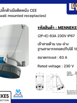 MENNEKES 128A ปลั๊กตัวเมียติดพนัง (2P+E) 63A 230V IP67