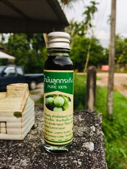 น้ำมันลูกกระทิง ( Tamanu oil)