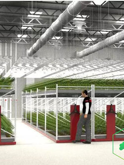 โต๊ะปลูก แบบ 3 ชั้น EBB and Flow มีรางระบายน้ำ