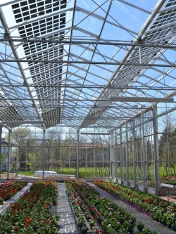 Greenhouse Solar panel rooftop