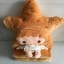 ตุ๊กตาหมอนผ้าห่ม