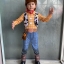 ชุดแฟนซีวู๊ดดี้ทอยสตอรี่ Woody Toy Story