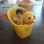 อ่างอาบน้ำเป็ด