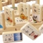 โดมิโนอักษรจีน 智力积木 Chinese Characters Sided Domino