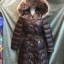 Moncler Down Jacket