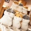 ตุ๊กตาหมอนผ้าห่ม