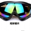 Ski Goggles 2017