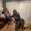 ให้เช่าชุดคอสเพลย์ก็อตซิลล่าผู้ใหญ่ Godzilla Cosplay 2023