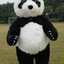 Mascot รวมสัตว์
