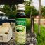 น้ำมันลูกกระทิง ( Tamanu oil)