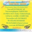 รวมโปรแกรมโคตรโกง 2003 ( 1 CD )