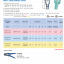 MDFNY หางปลาเสียบแบนตัวผู้หัวเหลี่ยมหุ้มเต็มแบบใส,nylon-full insulated male disconnectors