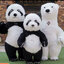บริการให้เช่าชุดมาสคอตสัตว์ หมีแพนด้า Panda Mascot