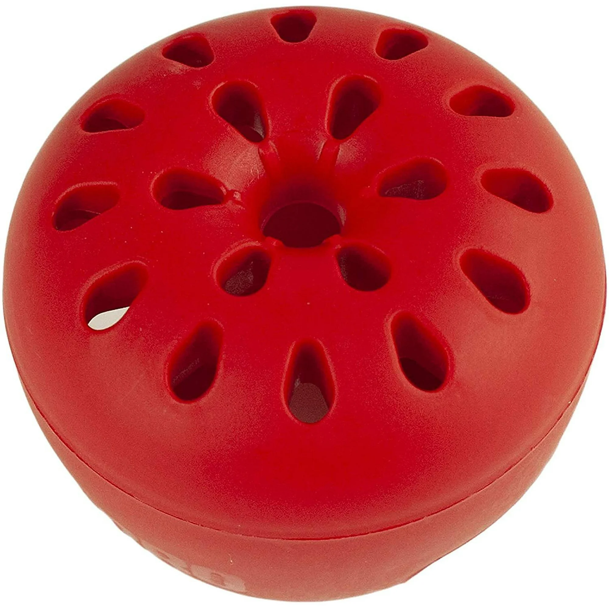 TERRO® Indoor Fruit Fly Trap Fast-Acting T2502, 2 Trap Ready-to-Use กับดัก แมลงวัน