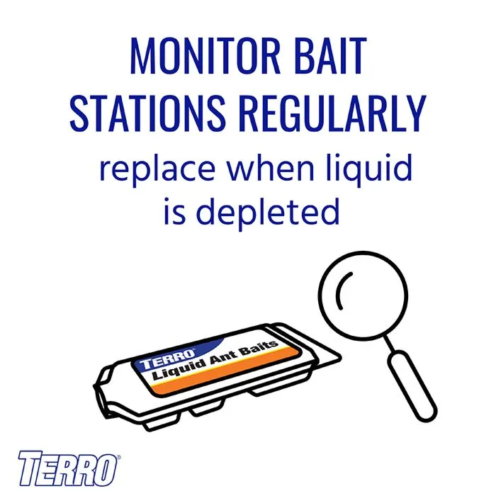 TERRO® T300 Liquid Ant Baits 4, 6 Bait Stations ผลิตภัณฑ์กำจัดมด
